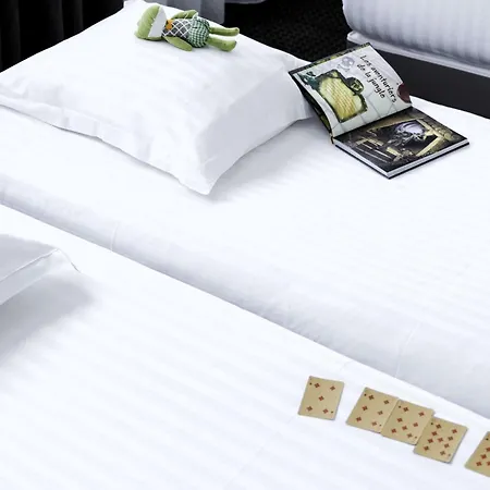 ホテル Western De La Cite & 3*