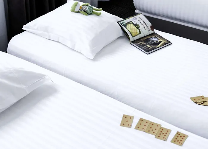 Hotel Western De La Cité&spa 3*